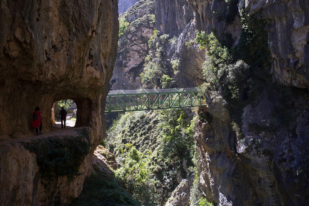 Divina-Garganta