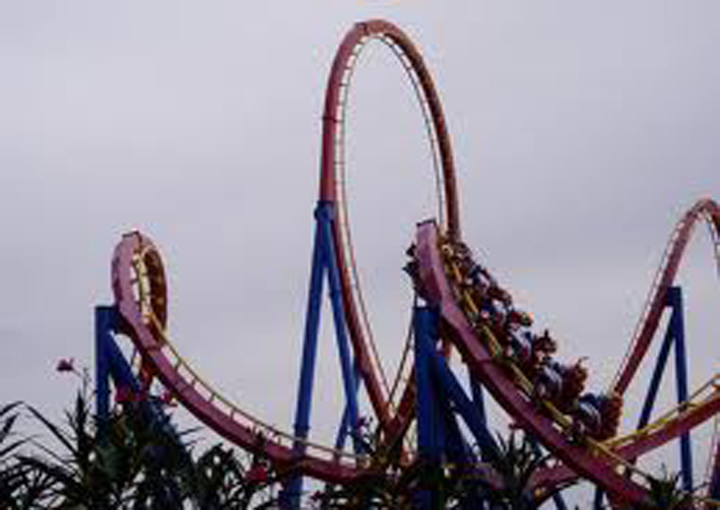 warner 4